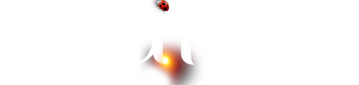 威尼斯87978797(中国)老品牌-官方网站