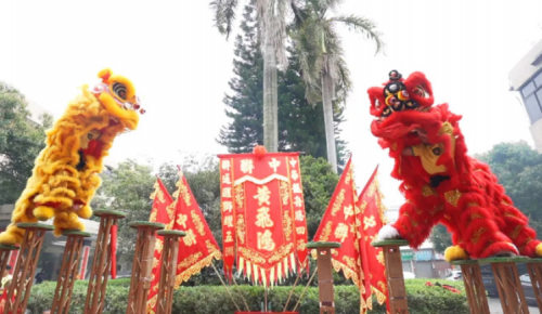 龙腾狮跃，，共铸绚烂未来！