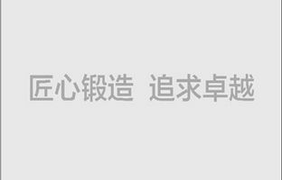 热烈庆祝尊龙凯时通过“双软企业”认定